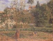 Camille Pissarro, Vegetable Garden at the Hermitage near Pontoise
